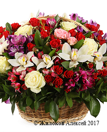 ����� ���� �����