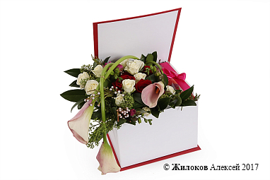 ����� � ������� ���������� ������� � ������� �������