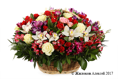 ����� ���� �����