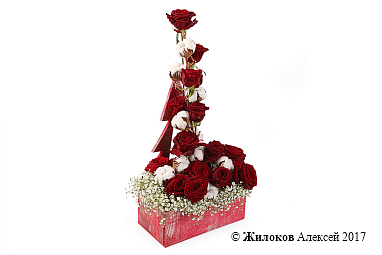 ���������� ������ ��� � �����