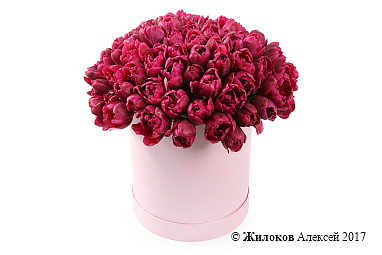 ����� 101 ����������� ������� � ������� �������, ���������