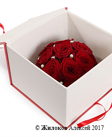 ����� ������ ������ � ������� �������