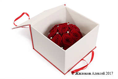 ����� ������ ������ � ������� �������