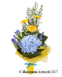 ����� �����