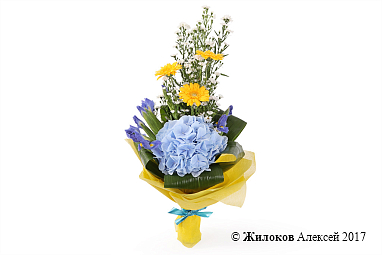 ����� �����