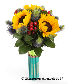 ����� � ������������ ����� ������