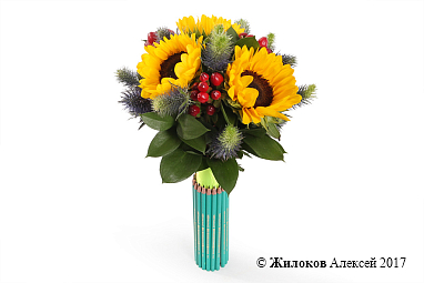 ����� � ������������ ����� ������