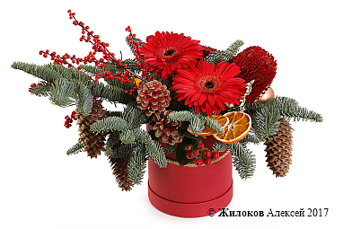 ����� ������ ������ � ������� �������