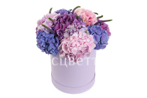 ����� � ����������� ������ � ������� �������