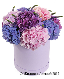 ����� � ����������� ������ � ������� �������