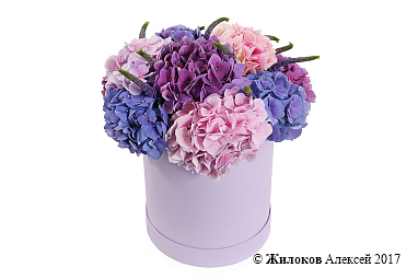 ����� � ����������� ������ � ������� �������