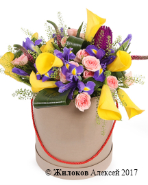 ����� � ������� ������� � ������� �������