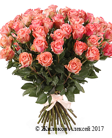 ����� 39 ��� ���� �������