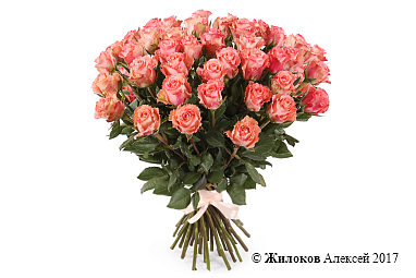 ����� 39 ��� ���� �������