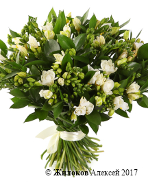 ����� � �������� ��������� ������