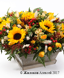 ���������� ���� � ������� � �����