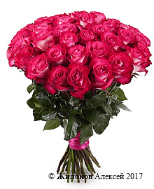 ����� 35 ��� �������