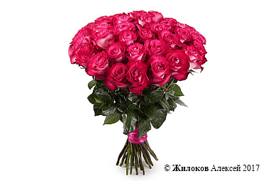 ����� 35 ��� �������