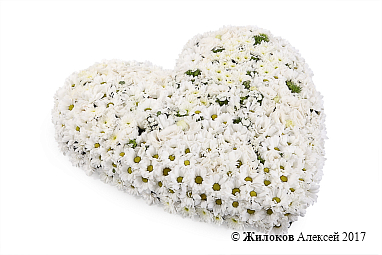 ����� ������ ����������