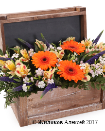 ���������� ������ �������� � �����