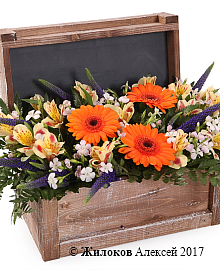 ���������� ������ �������� � �����