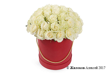 ����� 51 ���� �������� � ������� ������� �������