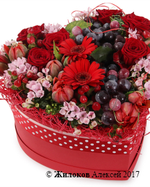 ����� ���������� ������� � ������� ������� ������