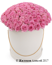 ����� 101 ���� ���� � ������� �������