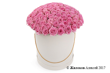 ����� 101 ���� ���� � ������� �������