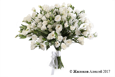 ����� �� ������� ������� ��������� (�����������)