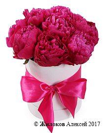 ����� �� ������ ������� � ������� �������