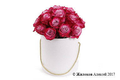 ����� ��������� ��� � ������� �������