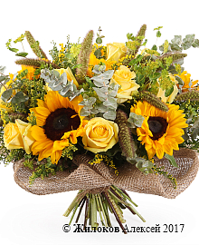 ����� ��������� ��������