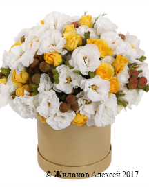 ����� � �������� ���� ������� � ������� �������