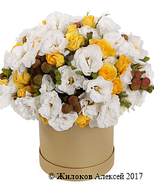 ����� � �������� ���� ������� � ������� �������