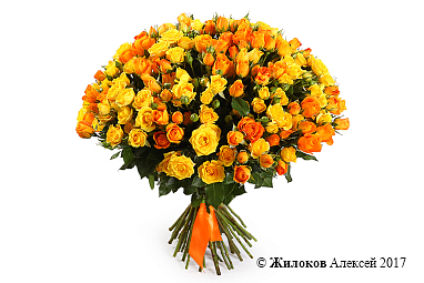 ����� ��������� ����������, 50 ��� ����