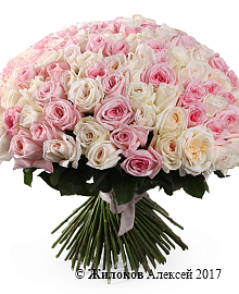 ����� �������� ������ (151 ���� �'����)