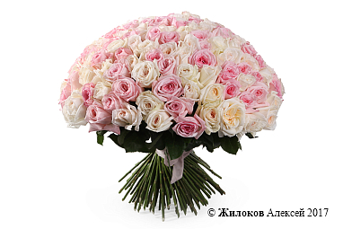 ����� �������� ������ (151 ���� �'����)