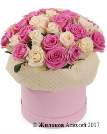 ����� ����� ���������� � ������� �������