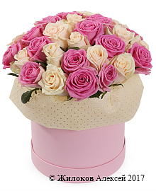 ����� ����� ���������� � ������� �������