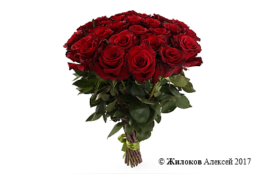 ����� 31 ���� ��� �����