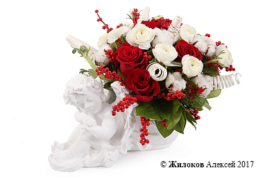 ���������� ������ ����� � �����