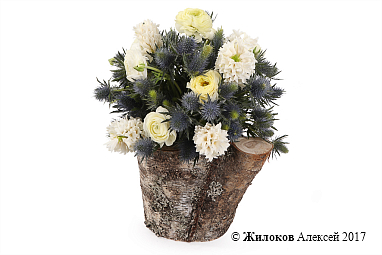 ����� ����������� �������