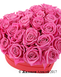 ����� ������� ������ � ������� ������� ������, �����