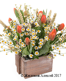 ���������� ������� ������ � ����� (����)