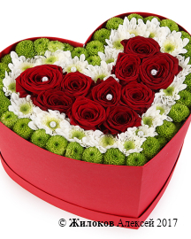 ����� ������ � ������ � ������� ������� ������