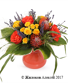 ����� �������� � ����