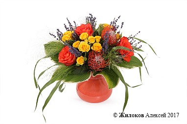 ����� �������� � ����