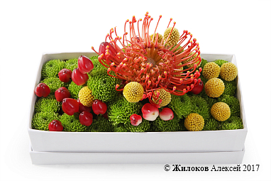 ���������� ����������� �� ��������� � �������