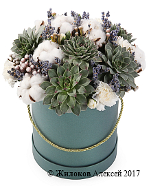 ����� ������� � ������� �������